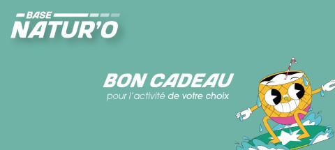 Bon cadeau niveau 1 pour 8-15 ans (CAE)